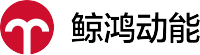 鲸鸿动能