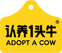 认养1头牛